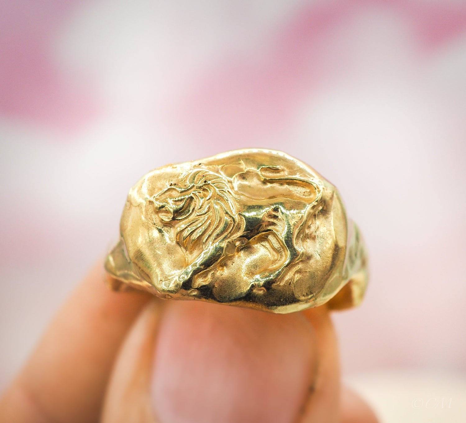 Sterrenbeeldsieraden